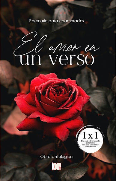 El amor en un verso | Varios autores