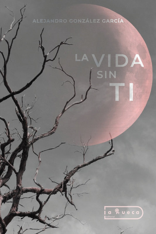 La vida sin ti | AlejandroGonzalez Garcia