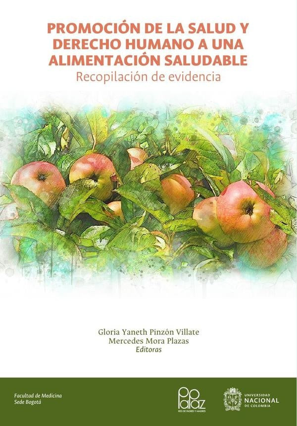 Promocion de la salud y derecho humano a una alimentacion saludable: recopilacion de evidencia | GloriaYanethPinzon Villate