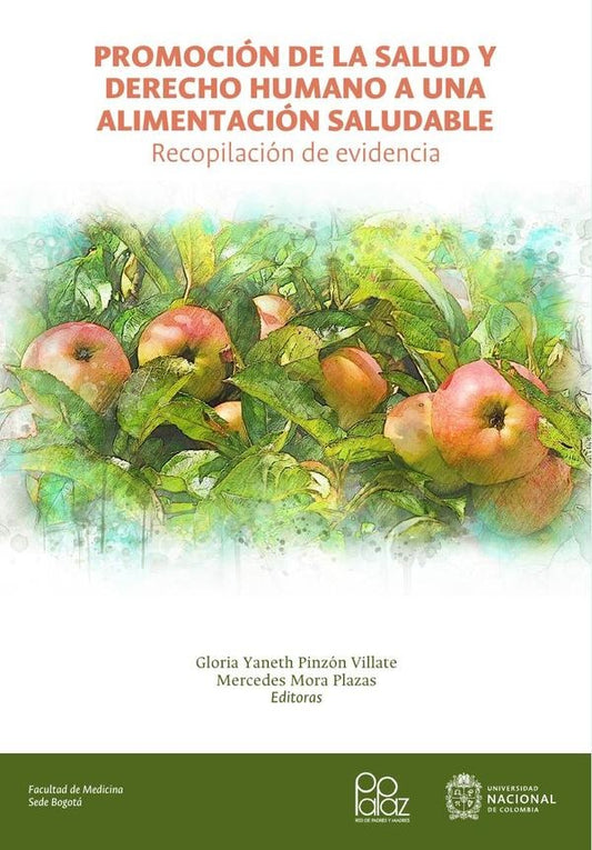 Promocion de la salud y derecho humano a una alimentacion saludable: recopilacion de evidencia | GloriaYanethPinzon Villate