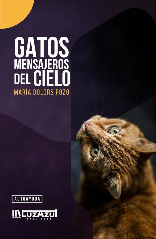 Gatos mensajeros del cielo | MariaDolorsPozo Bailina