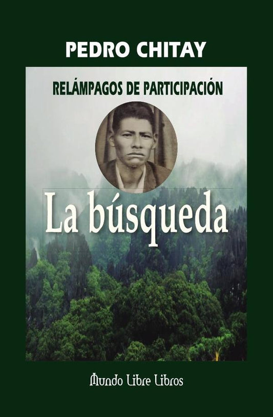 Relampagos de participacion | PedroChitay Rodriguez