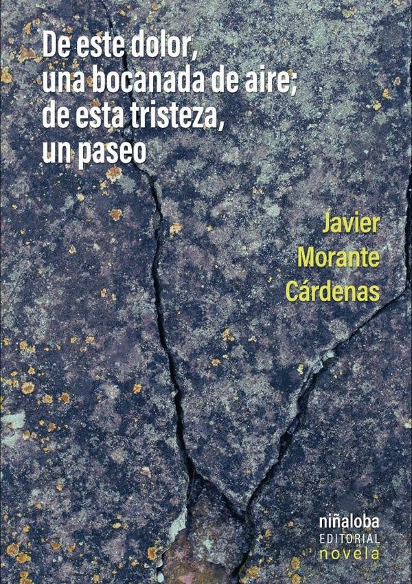 De este dolor, una bocanada de aire; de esta tristeza, un paseo | JavierMorante Cardenas