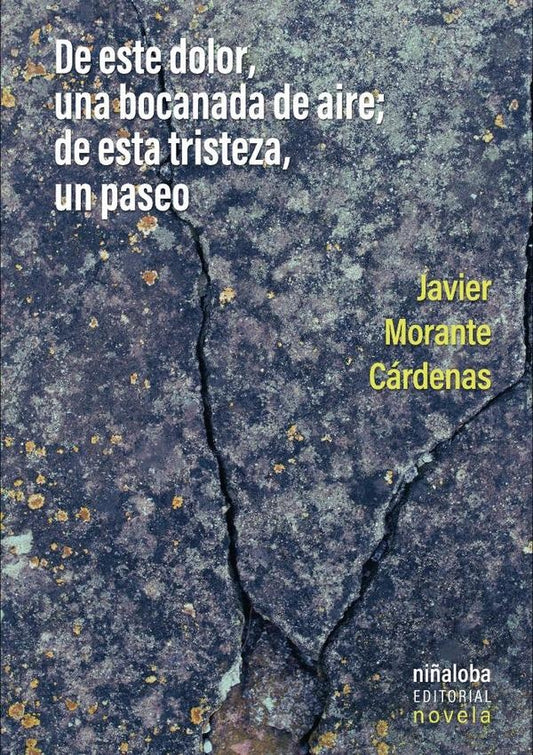 De este dolor, una bocanada de aire; de esta tristeza, un paseo | JavierMorante Cardenas