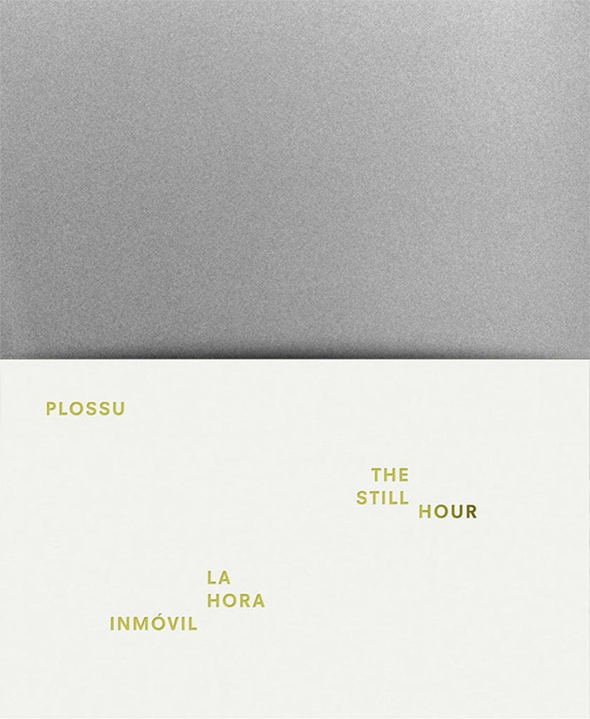 PLOSSU. LA HORA INMOVIL | PLOSSU BERNARD