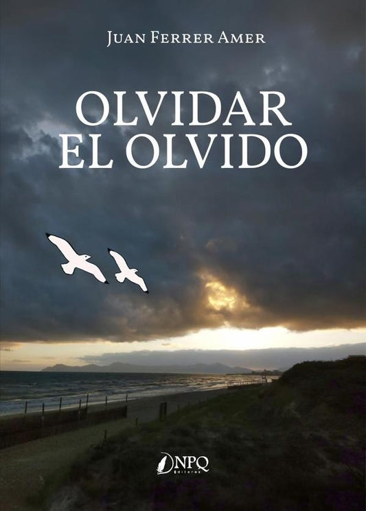 Olvidar el olvido | JUANFERRER AMER