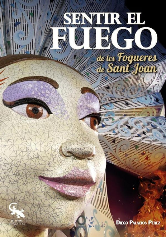 Sentir el fuego de les fogueres de sant joan | DiegoPalacios Perez