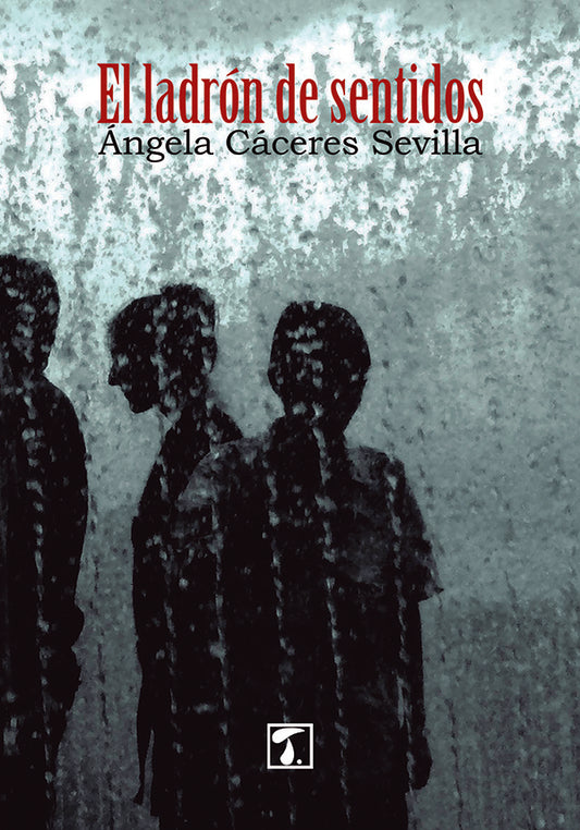 El ladron de sentidos | angelaCaceres Sevilla