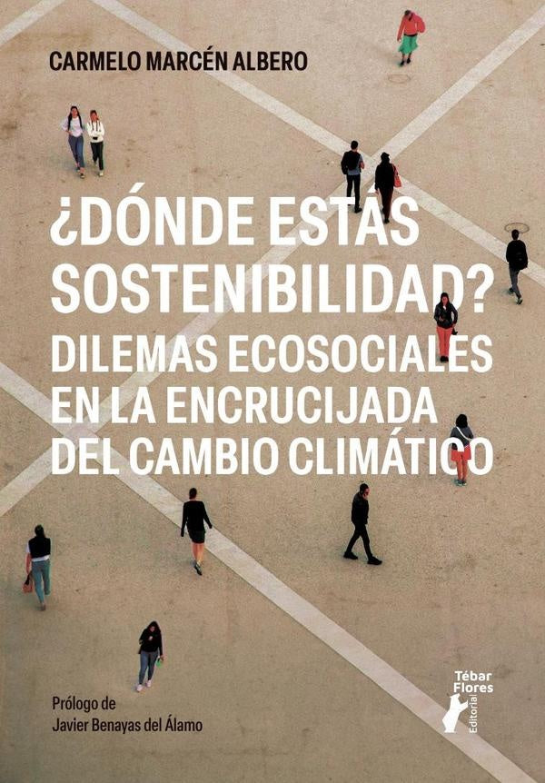 ?Donde estas sostenibilidad? | CarmeloMarcen Albero