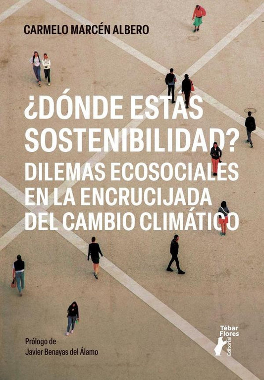 ?Donde estas sostenibilidad? | CarmeloMarcen Albero