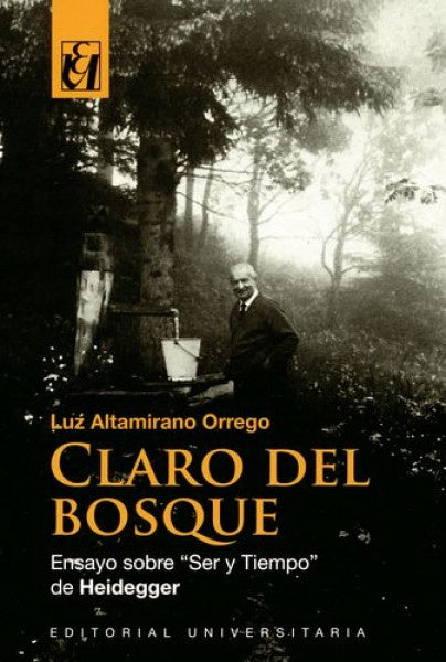 Claro del bosque | LuzAltamirano Orrego