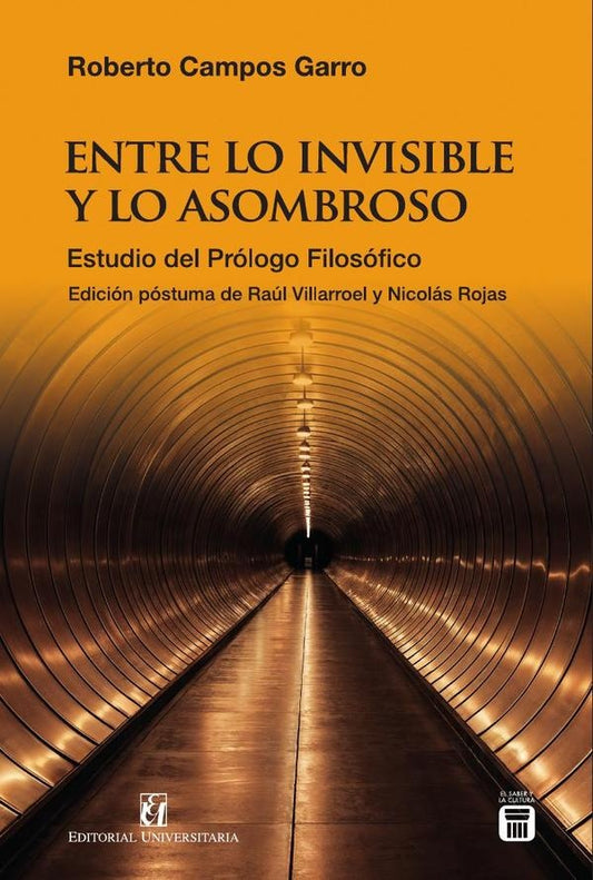 Entre lo invisible y lo asombroso | Nicolas Rojas