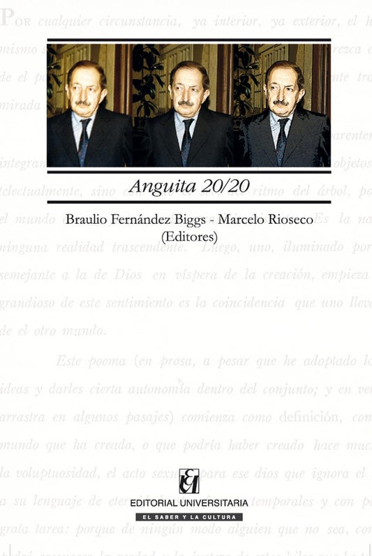 Anguita 20/20 | BraulioFernandez Biggs