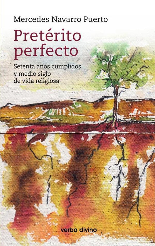 Preterito perfecto | MercedesNavarro Puerto