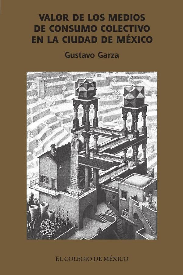 Valor de los medios de consumo colectivo en la ciudad de Mexico | Gustavo Garza