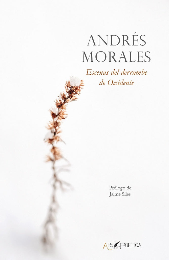 Escenas del derrumbe de Occidente | Andres Morales