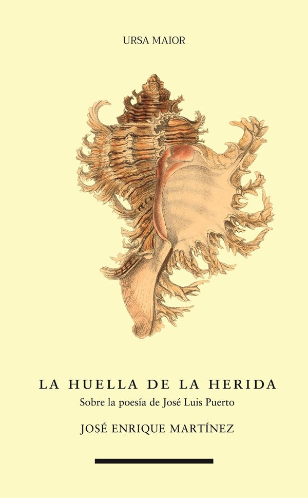La huella de la herida | JOSeENRIQUE MARTiNEZ