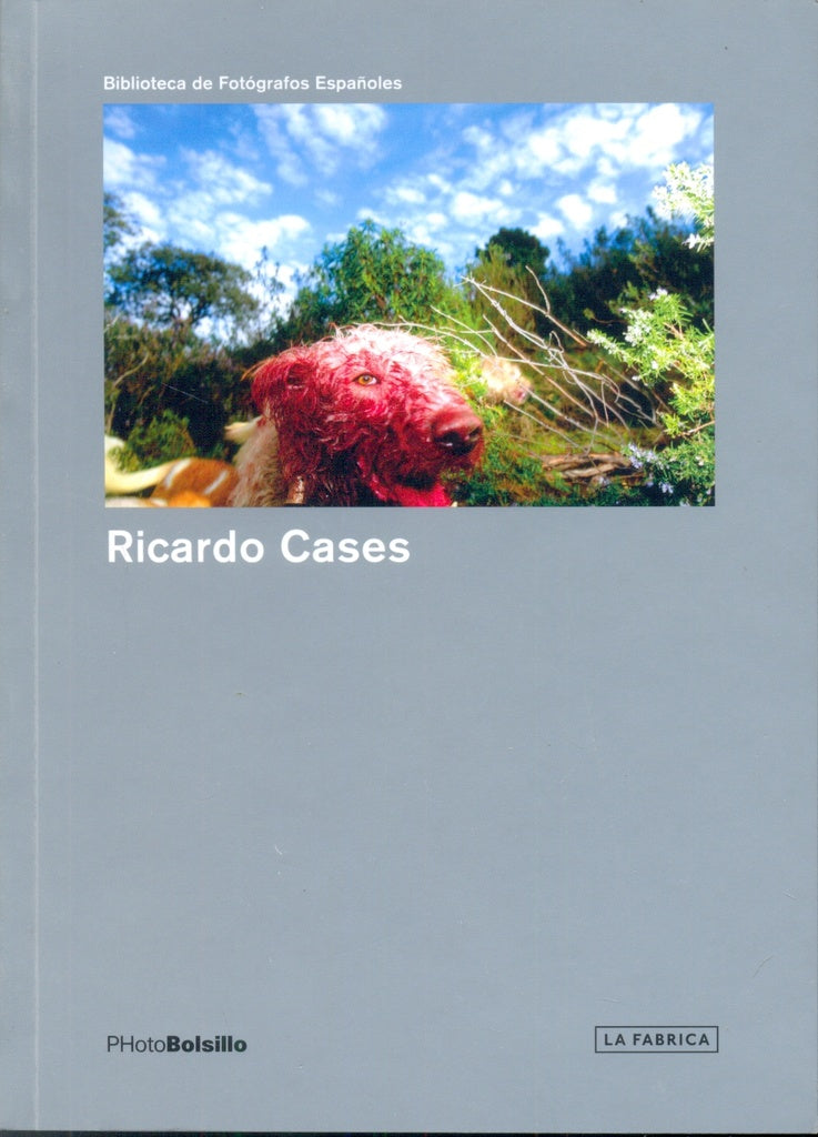 RICARDO CASES | CASES RICARDO