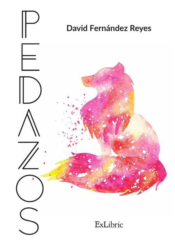 Pedazos | DavidFernandez Reyes