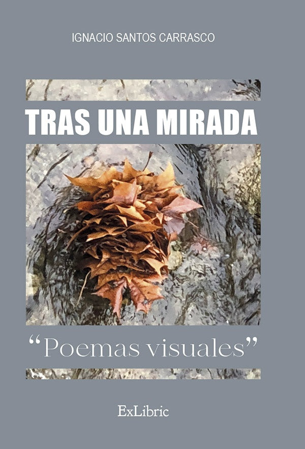 Tras una mirada. Poemas visuales | IgnacioSantos Carrasco