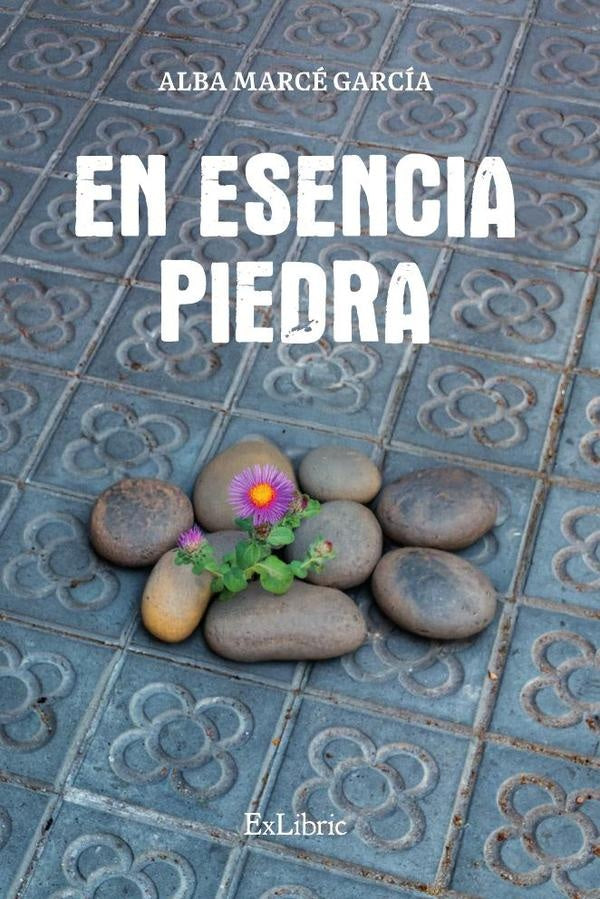 En esencia piedra | AlbaMarce Garcia