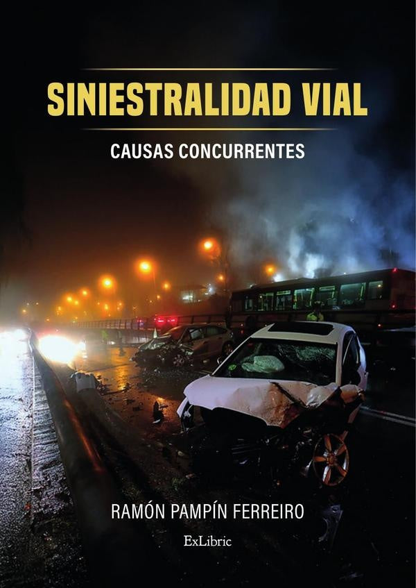 Siniestralidad vial. Causas concurrentes | RamonPampin Ferreiro