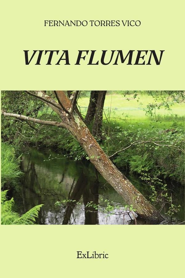 Vita flumen | FernandoTorres Vico