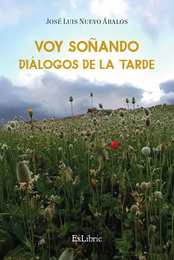 Voy so?ando dialogos de la tarde | JoseLuisNuevo abalos