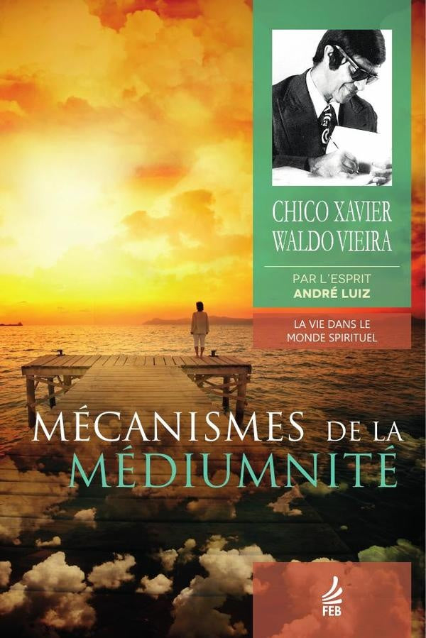Mecanismes de la mediumnite (Mecanismos da mediunidade - Franc?s) | Andre(Espirito)LuizWaldo(Autor)VieiraFranciscoC?nd