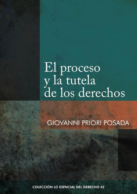El proceso y la tutela de los derechos | Giovanni Priori Posada