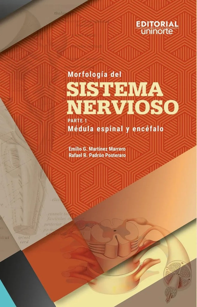 Morfologia del sistema nervioso | Emilio Martinez