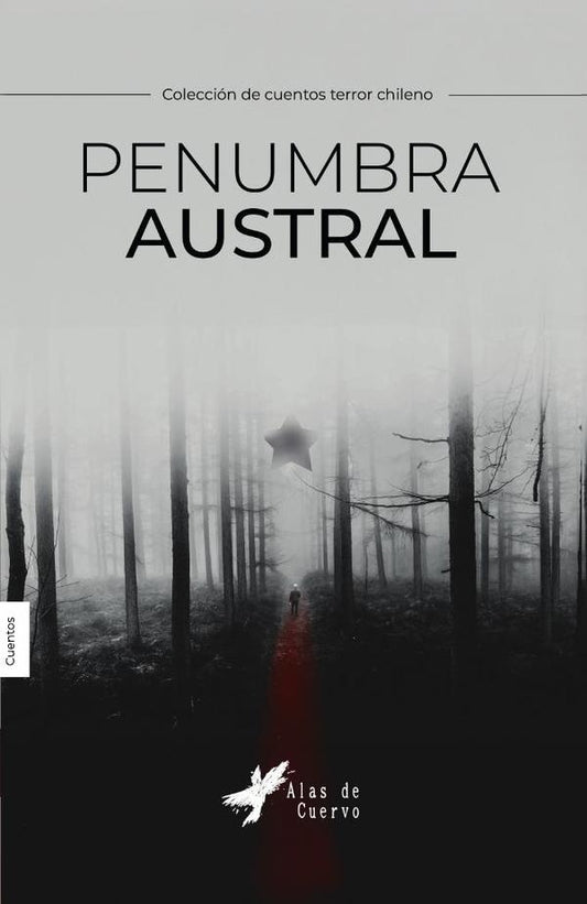Penumbra austral | DANIEL ERLIJ