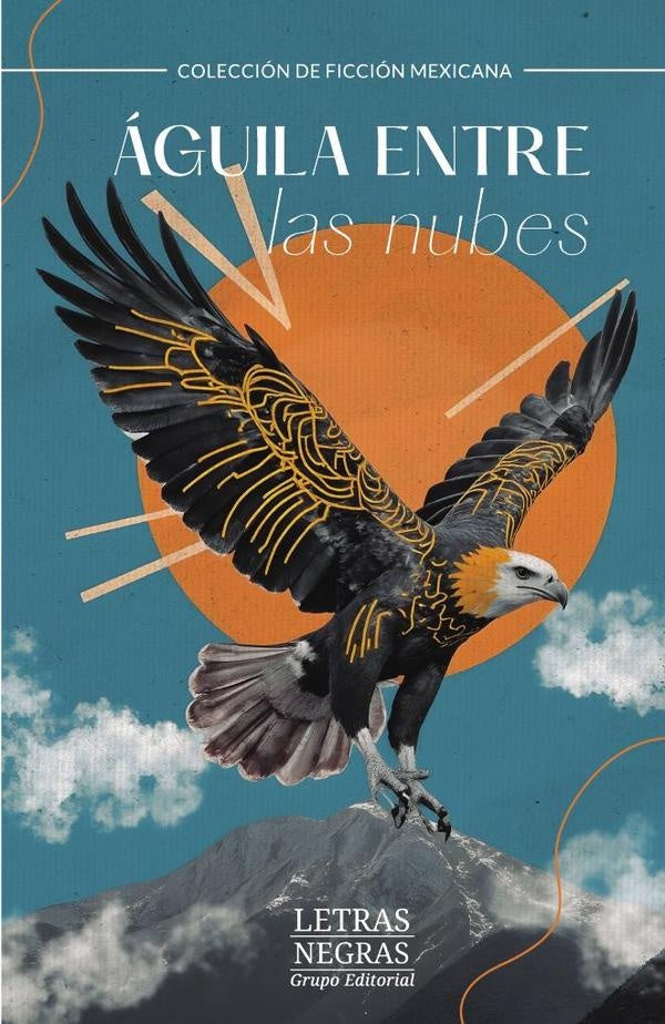 aguila entre las nubes | HUGO RODRiGUEZ