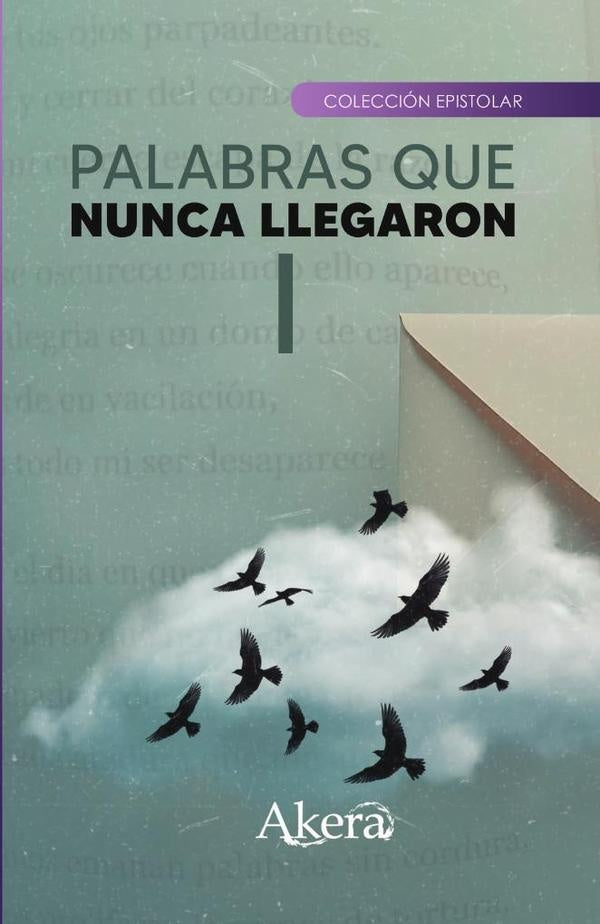 Palabras que nunca llegaron I | GRUPO EDITORIAL LETRAS NEGRAS S.A.S