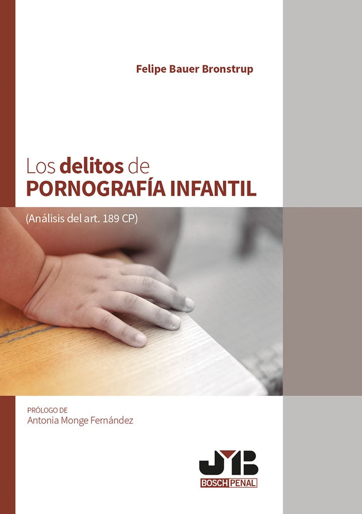 Los delitos de pornografia infantil | Felipe Bauer Bronstrup