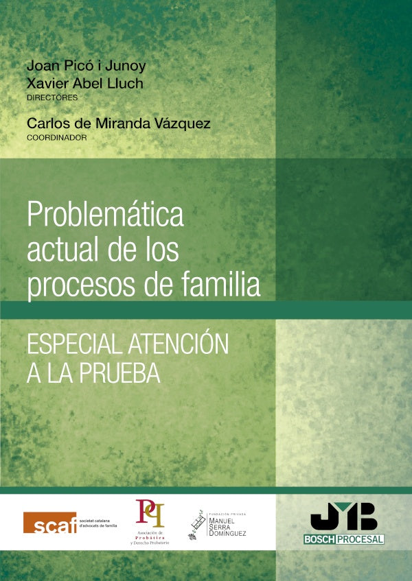 Problematica actual de los procesos de familia. | Joan Pico i Junoy