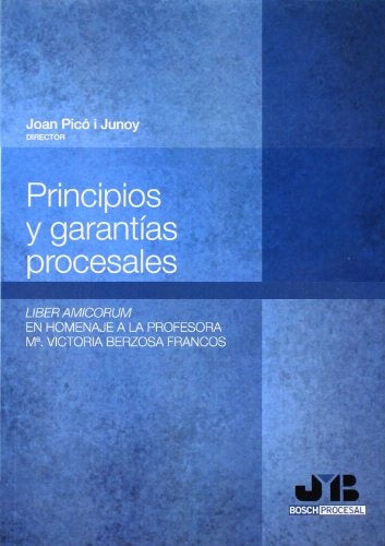Principios y garantias procesales. | Joan Pico i Junoy