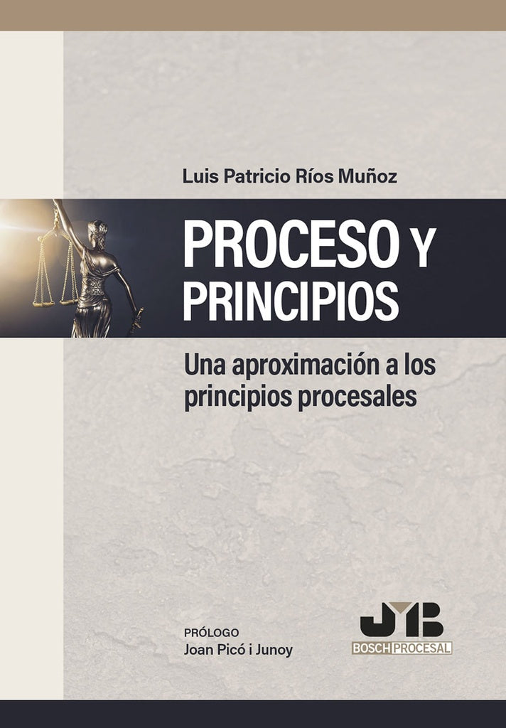 Proceso y Principios | Luis Patricio Rios Mu?oz