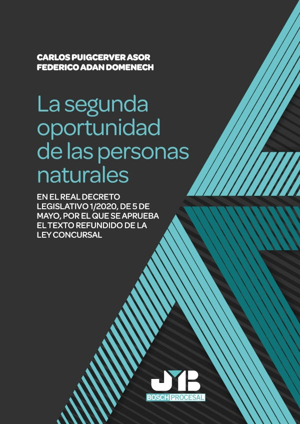 La segunda oportunidad de las personas naturales | Carlos Puigcerver Asor