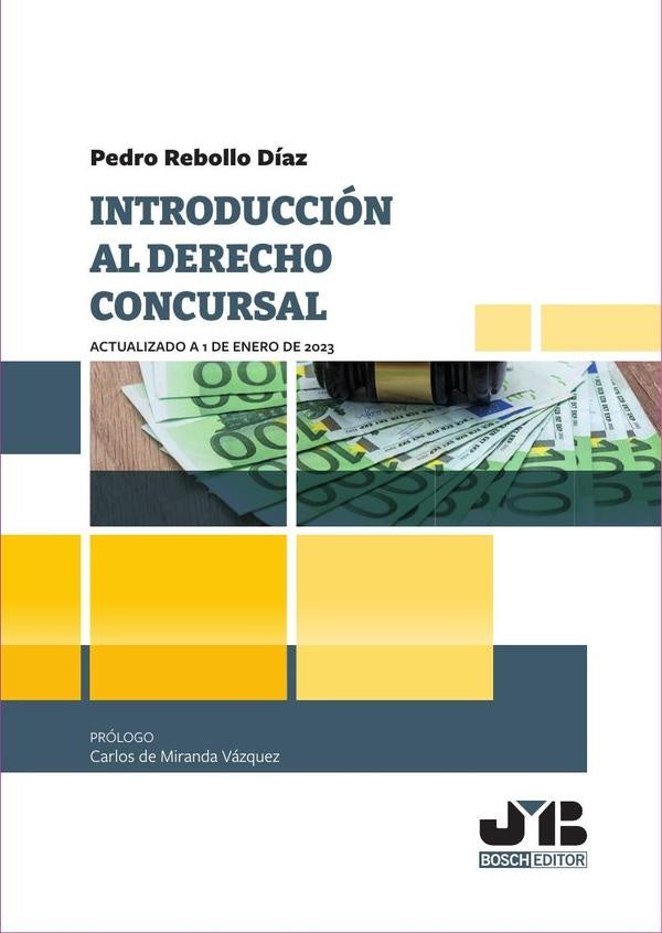 Introduccion al Derecho Concursal | Pedro Rebollo Diaz