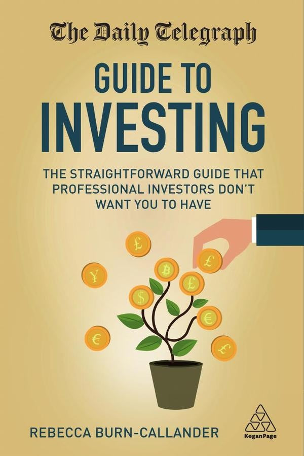 Daily Telegraph Guide to Investing | Rebecca Burn-Callander