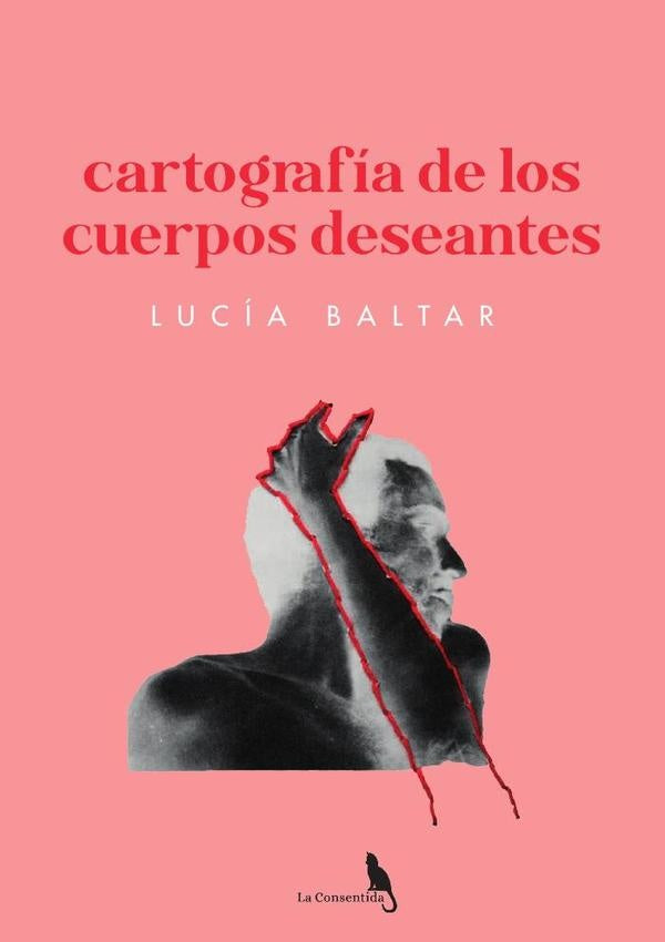 Cartografia de los cuerpos deseantes | LUCiA BALTAR