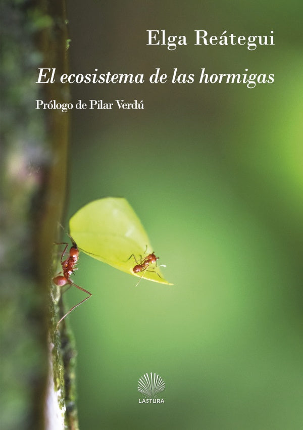 El ecosistema de las hormigas | ELGA REaTEGUI