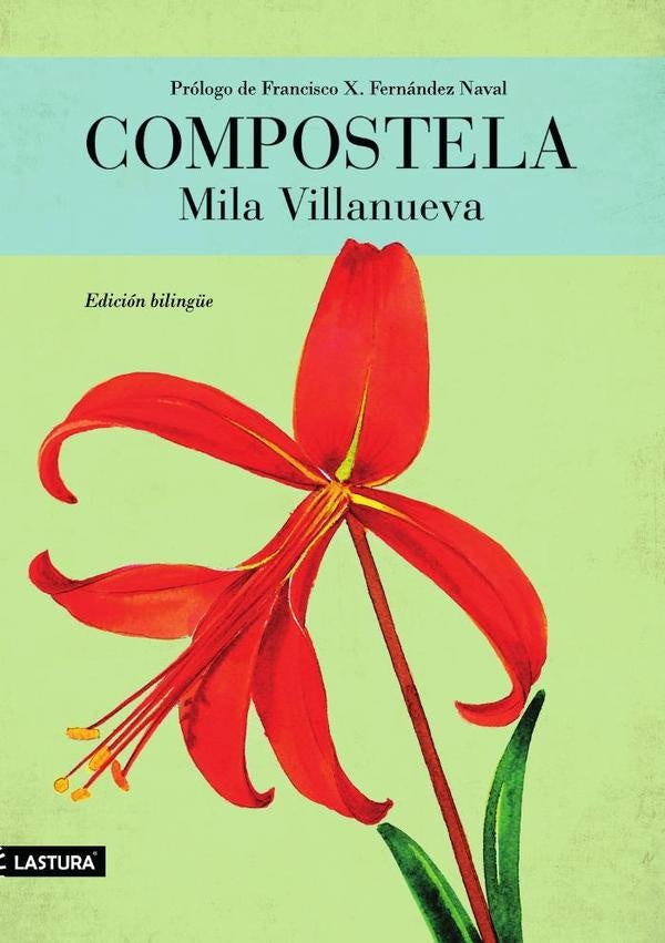 Compostela | MILA VILLANUEVA