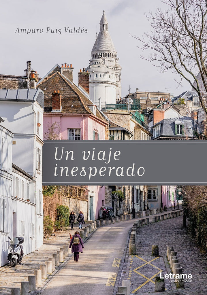 Un viaje inesperado | Amparo Puig Valdes