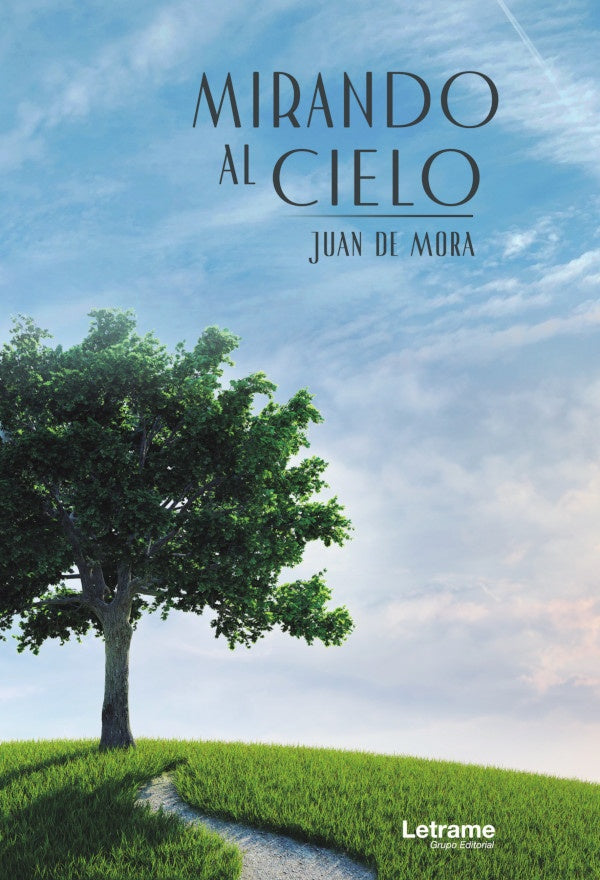 Mirando al cielo | Juan de Mora