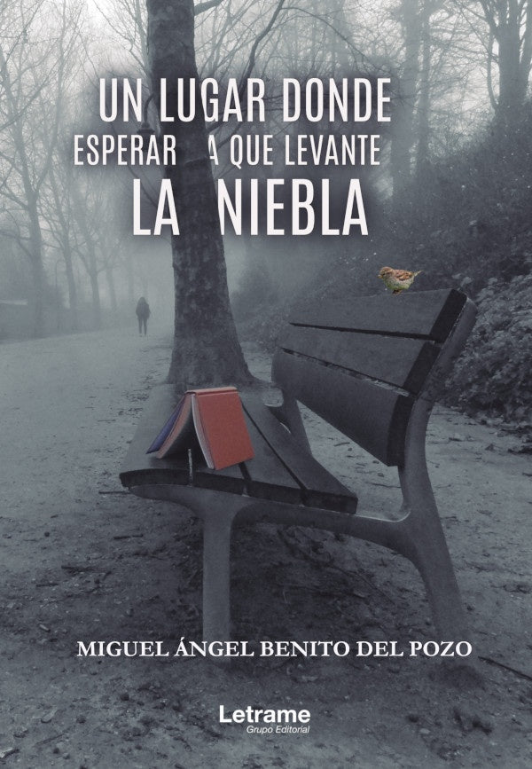 Un lugar donde esperar a que levante la niebla | Miguel angel Benito del Pozo