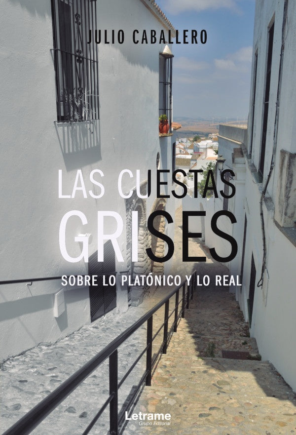 Las cuestas grises | Julio Caballero