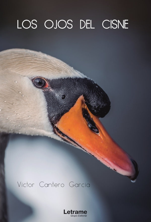 Los ojos del cisne | Victor Cantero Garcia
