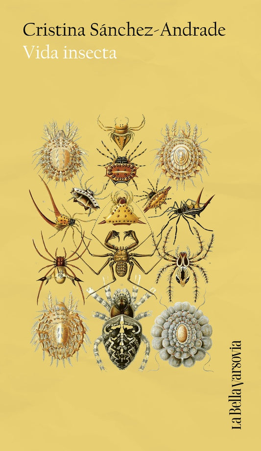 VIDA INSECTA | CRISTINA SANCHEZ-ANDRADE